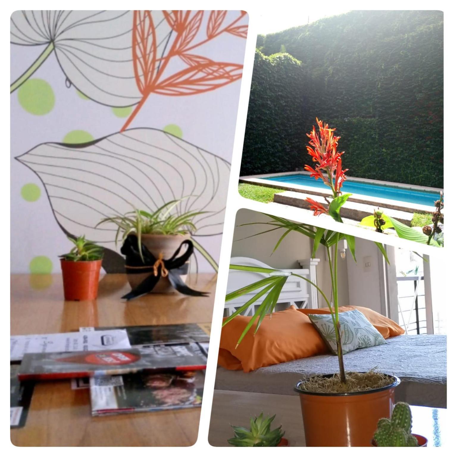 Apartment Donde El Alma Sonrie Ahi Es Tiene Muy Facil Acceso Por Avda 9 De Julio Desde Aeropuertos Y Puertos De